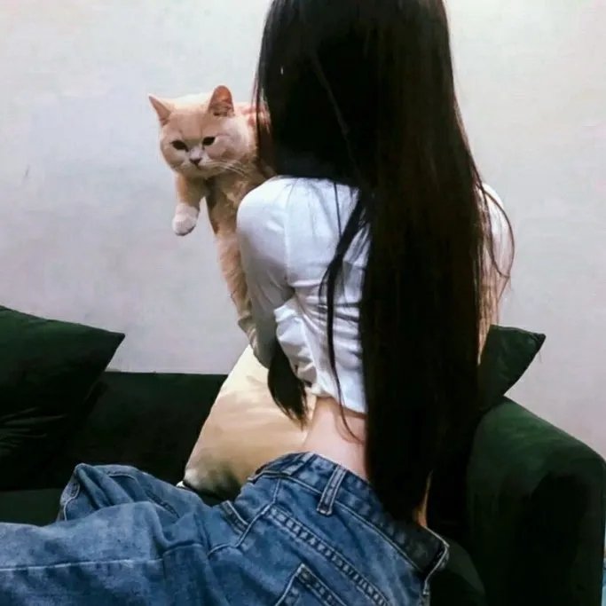 我唾弃你的坟墓